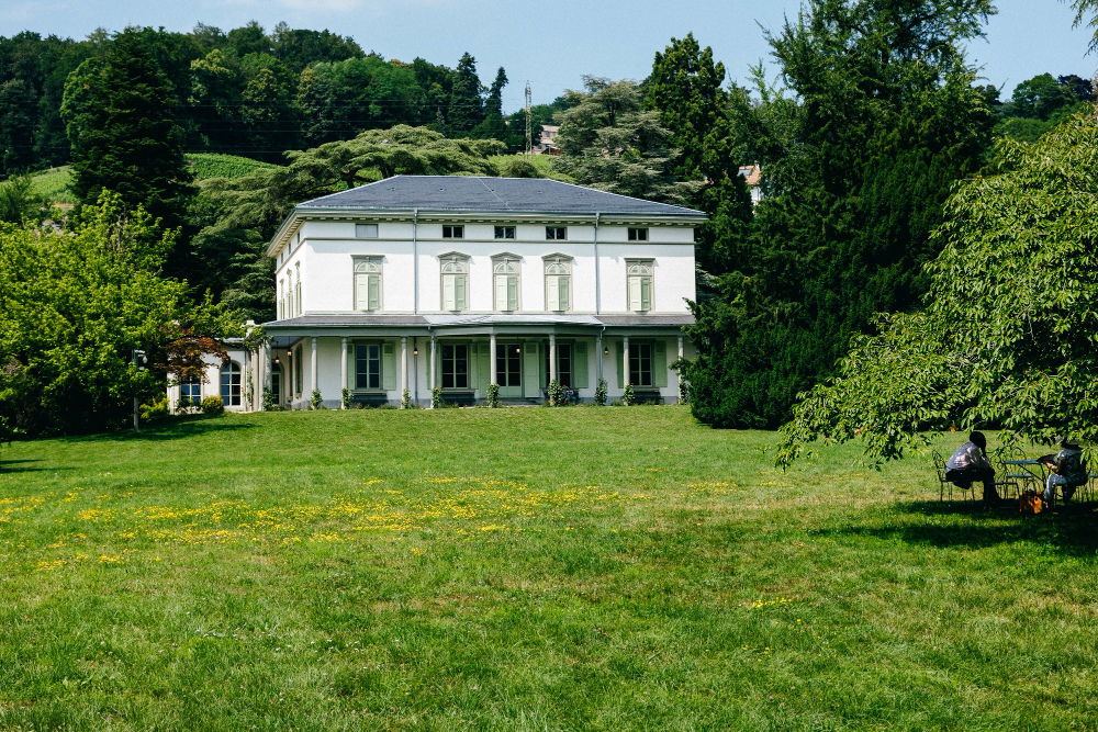 express grass professionnel avis