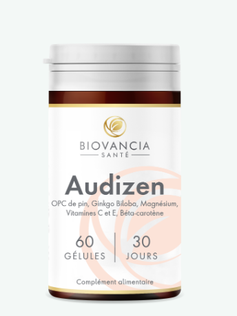 Audizen