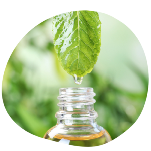 huil de de mentha apaizia