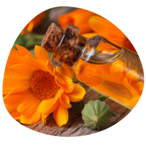 huile de calendula apaizia