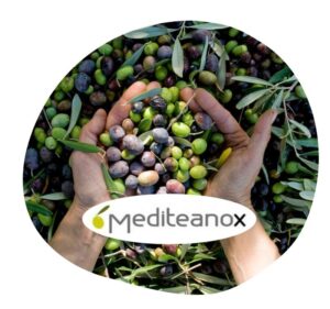 mediteanox
