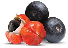 guarana