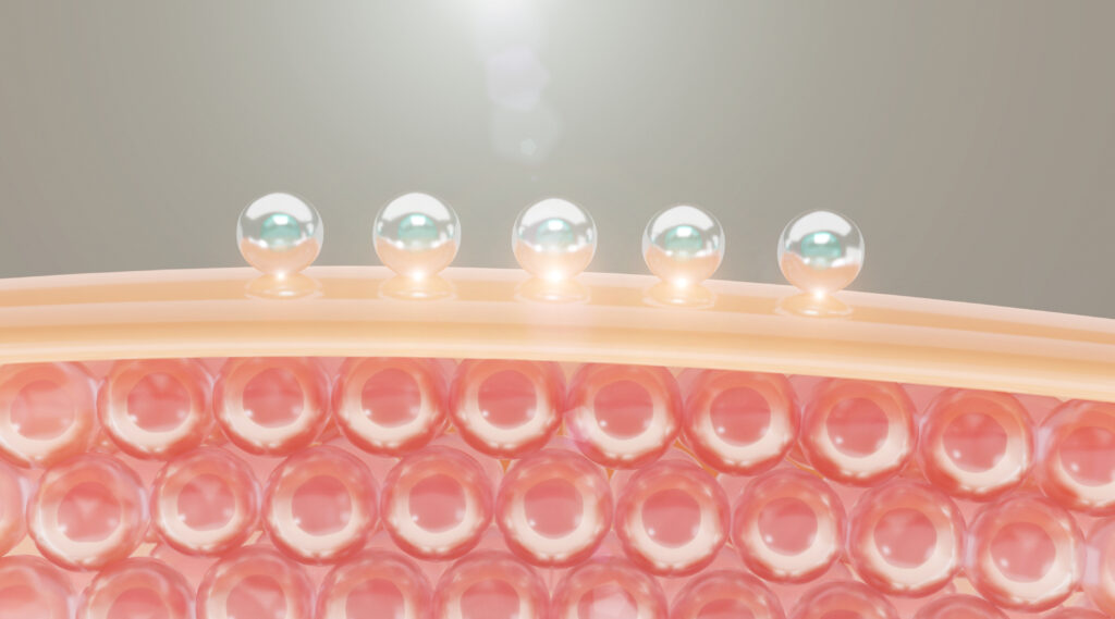 verisol c'est quoi ?