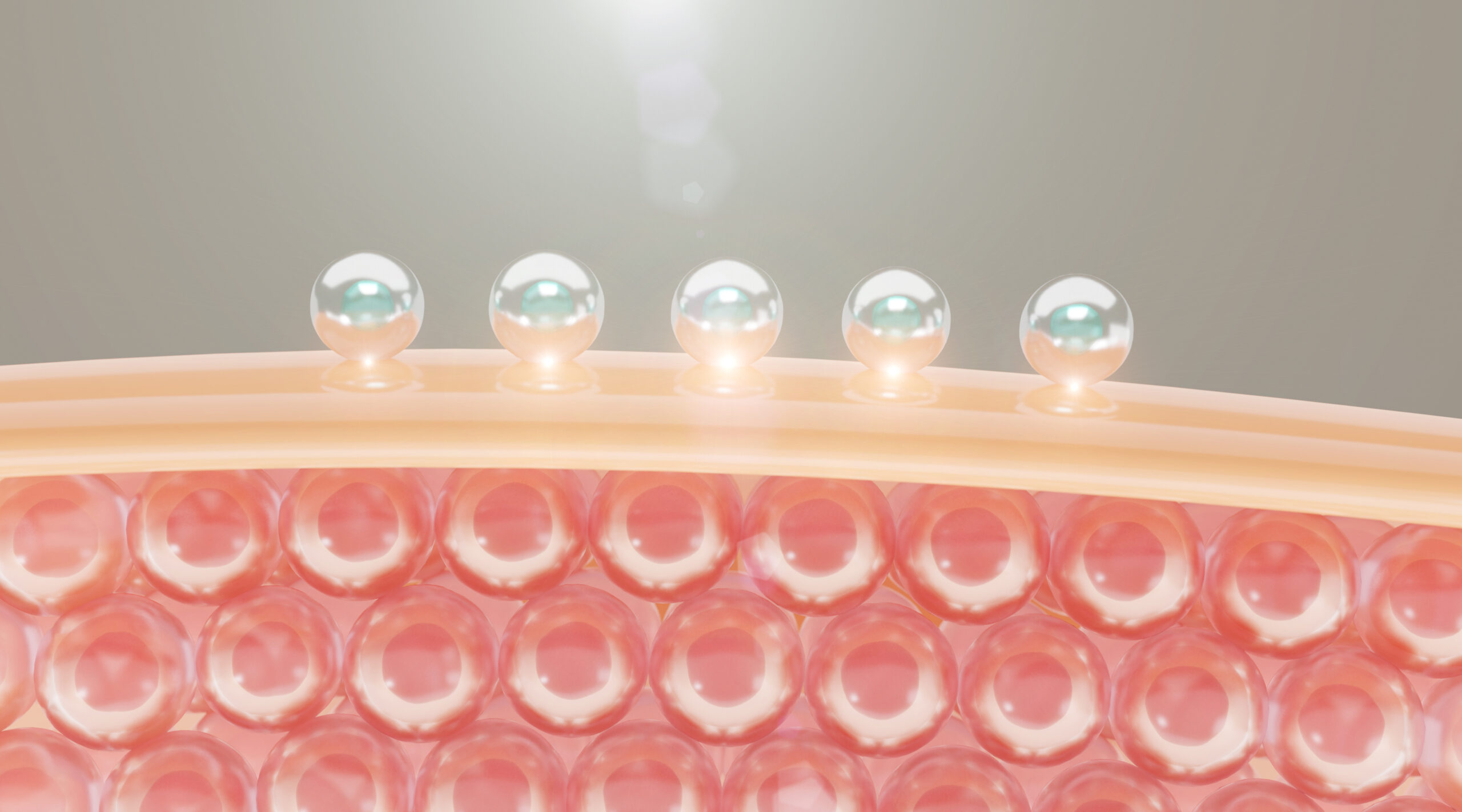 verisol c'est quoi ?
