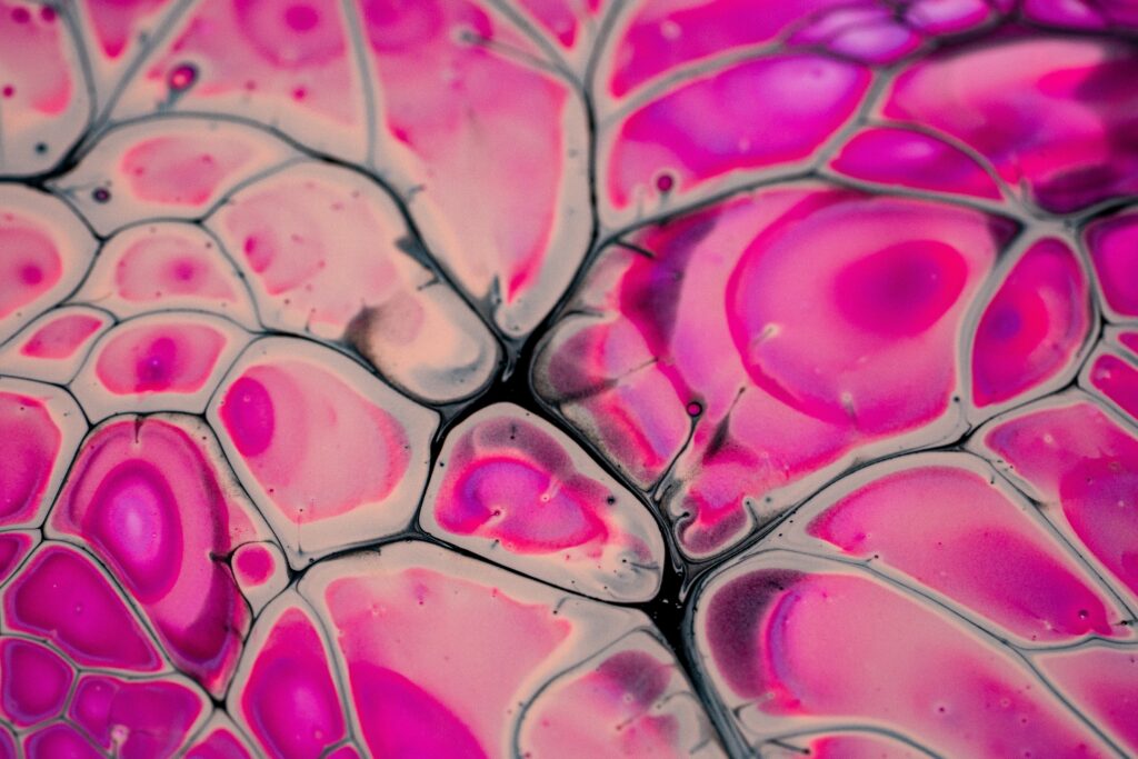 verisol