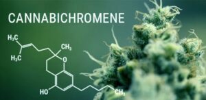 cannabichromene