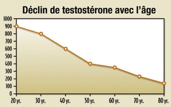 Libidon plus testosterone