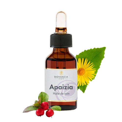 Apaizia