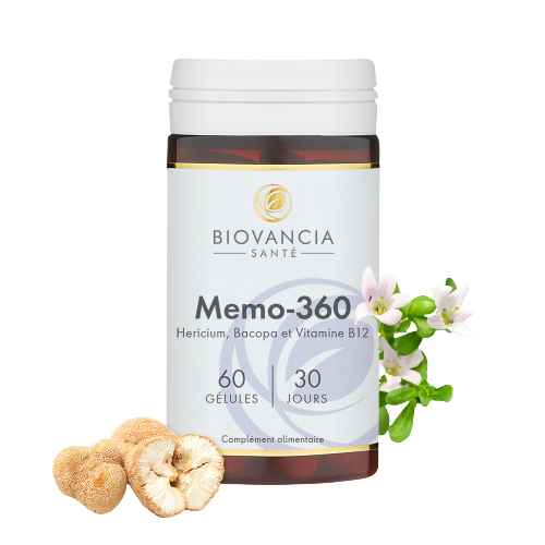 memo 360