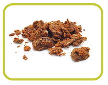 La propolis est une substance que les abeilles recueillent sur certains bourgeons d’arbres comme le châtaignier, le bouleau ou le peuplier. Elle possède des propriétés anti-inflammatoires qui aident à réduire le gonflement des voies respiratoires, ce qui permet de respirer plus facilement. La propolis contient également une variété de flavonoïdes qui offrent une protection antioxydante contre les polluants environnementaux.